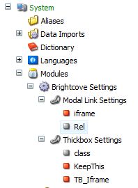 brightcove system settings