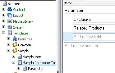 parameter template fields