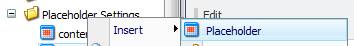 placeholder settings insert